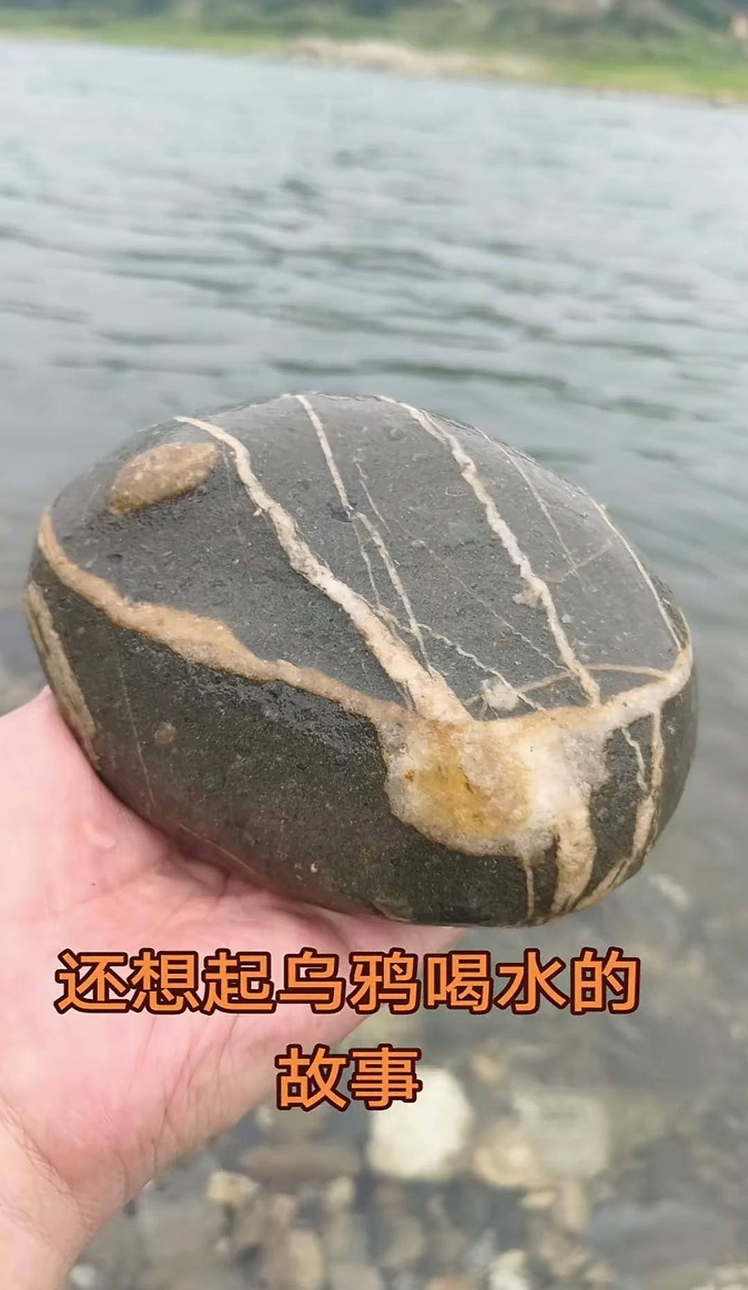 在汉江岸边捡石，偶然拾起一块石头，纹理仿佛能与脑海中的记忆对话。它让我想起鸬鹚帮
