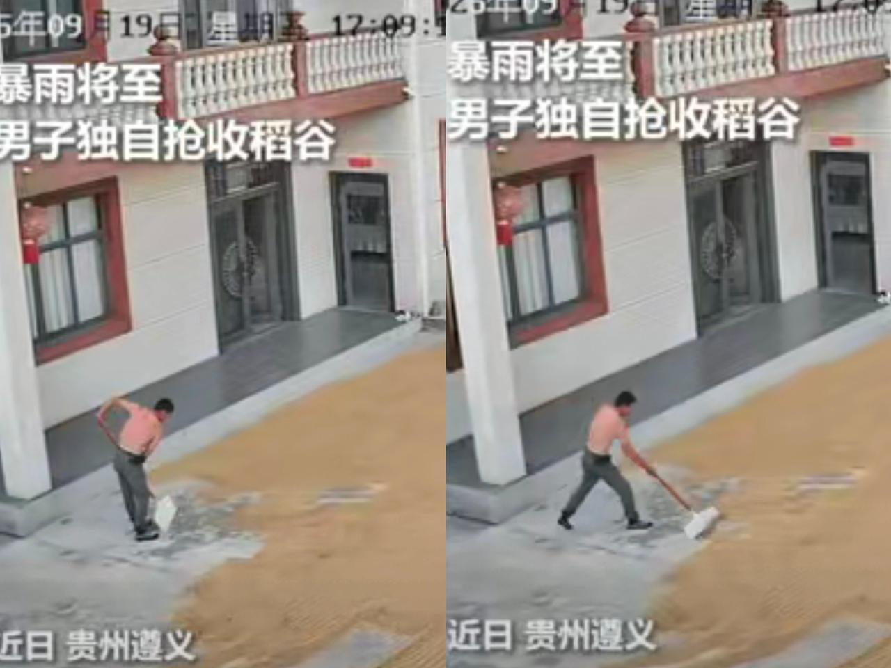 上人民日报的这幕太戳心！贵州遵义大哥光着膀子抢收稻谷的监控画面，本让妻子揪紧了心