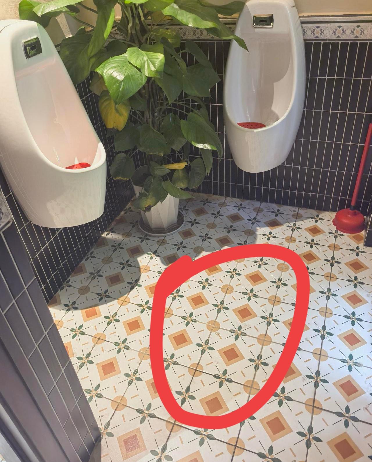 谁家的厕所那么大胆子，敢用LV的标志？
再怎么样厕所包也不能变成盛满屎尿屁的包啊
