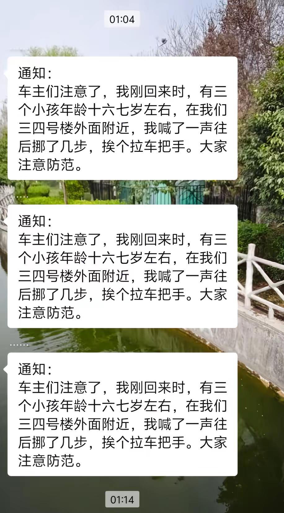 不干人事的又出来了🤬