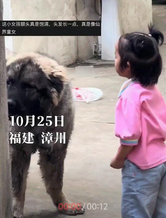 福建一男子有事找厂长，不料，刚进厂区就被护厂狗拦下，对着他狂叫不止，吓得男子连连