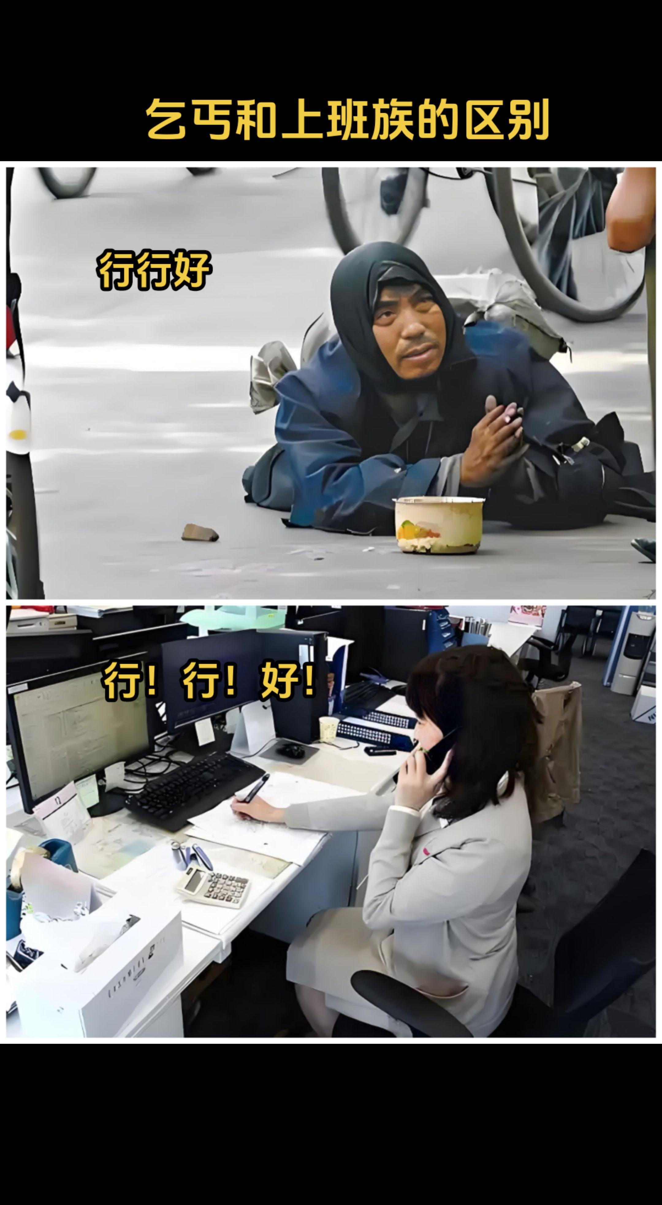 虽然生活方式不同，但都在为生活奔波的“打工人”😁