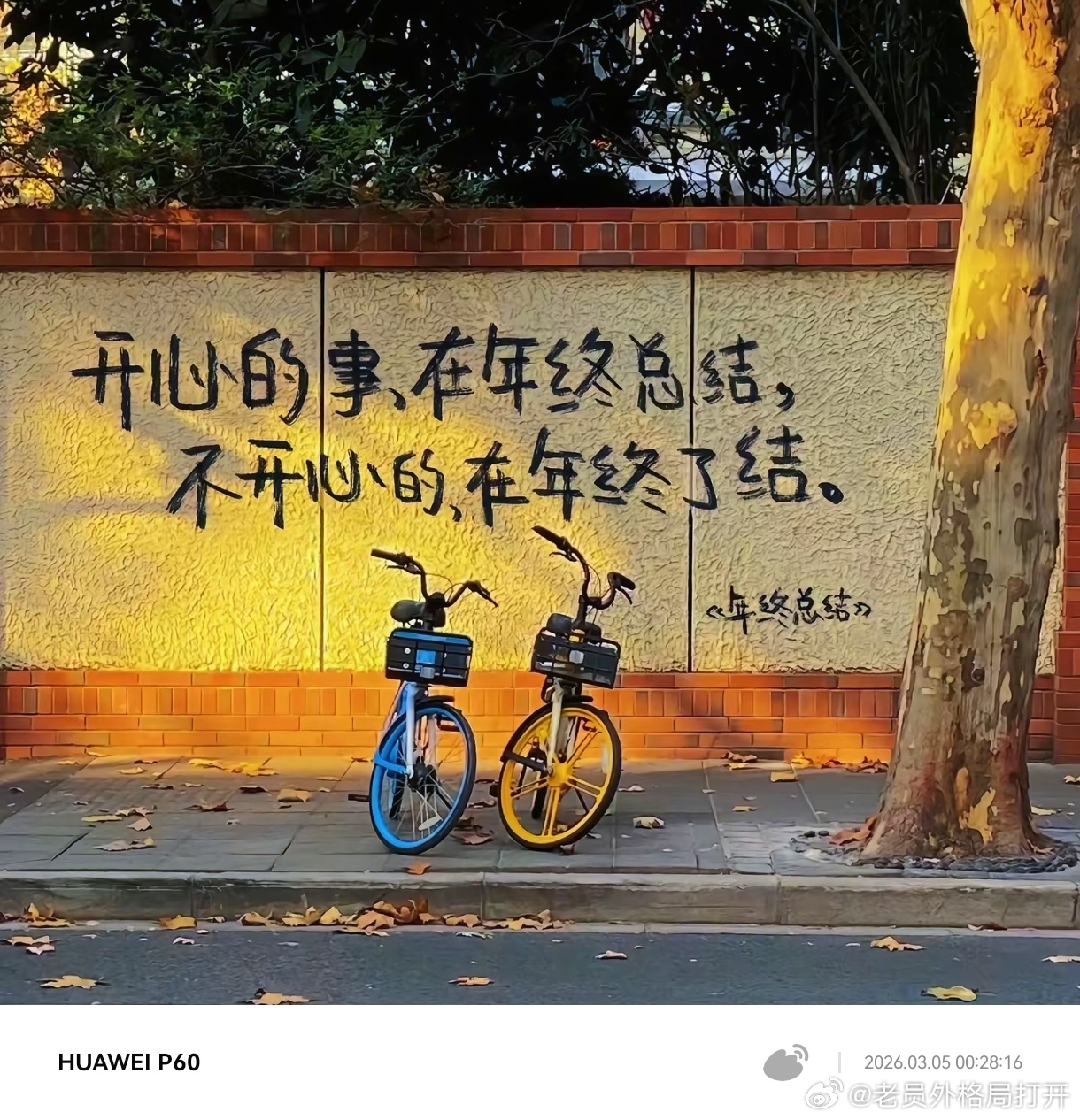 时光应是落落为安 只记欢喜不记忧 