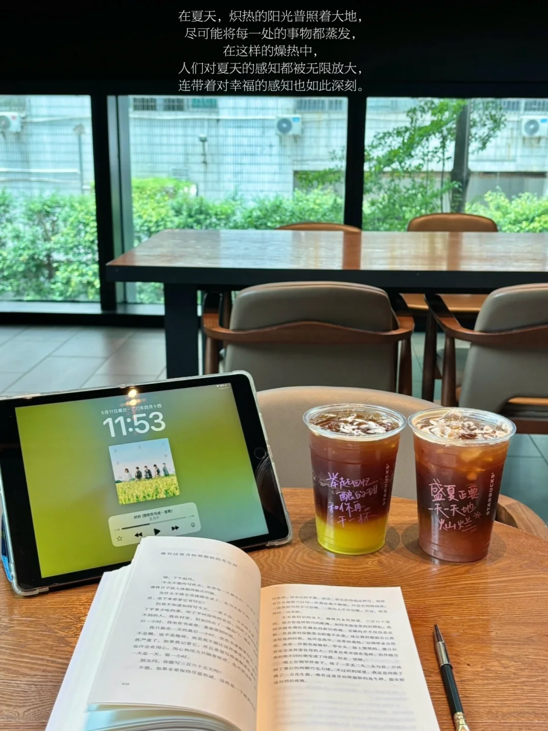 人为何如此迷恋那个夏天