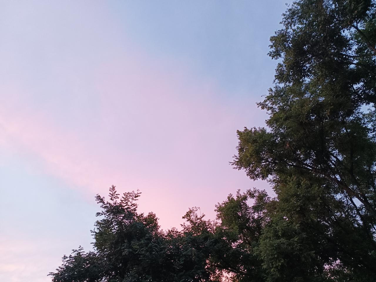 这个夏日，静赏流云漫卷的长空，细看盛放多姿的繁花，听潺潺小河缓缓流淌，望云雾轻笼