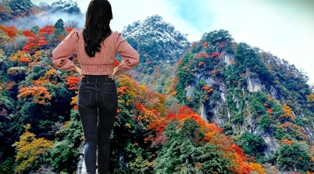 人生的故事，都写在四季的轮痕里。春行得太匆，夏闹得太盛，唯有秋冬能缓步徐行。岁月