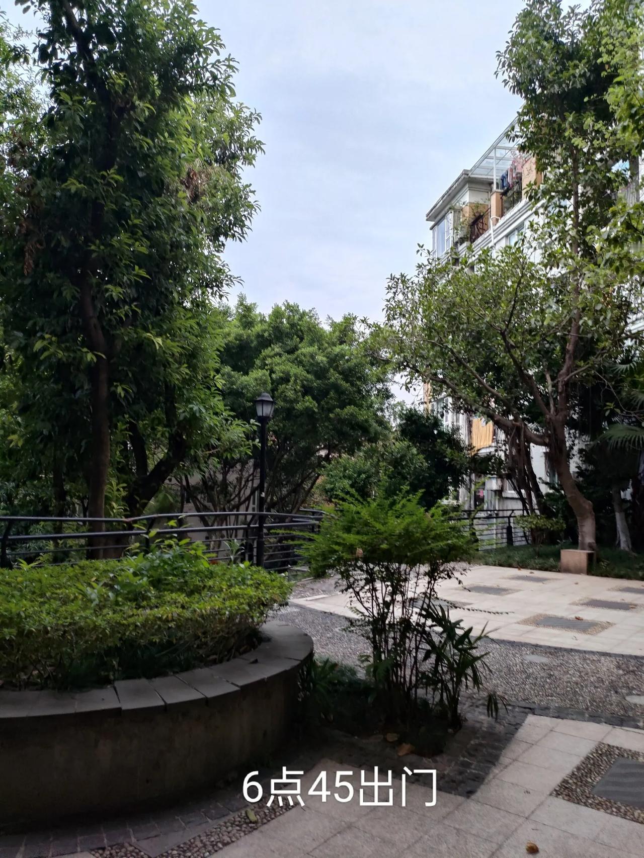 今天周日调整成工作日，早上不到七点就开始堵车了，步行一公里再坐公交车，去看望老妈