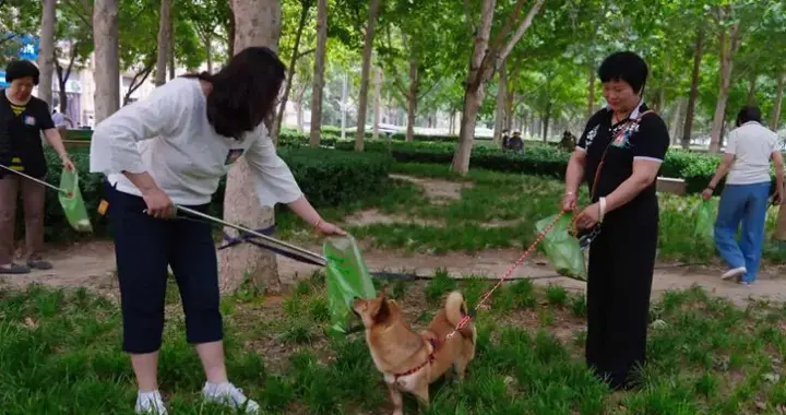 不仅罚款还要拘留，法律“拴紧”遛狗绳 | 新京报快评