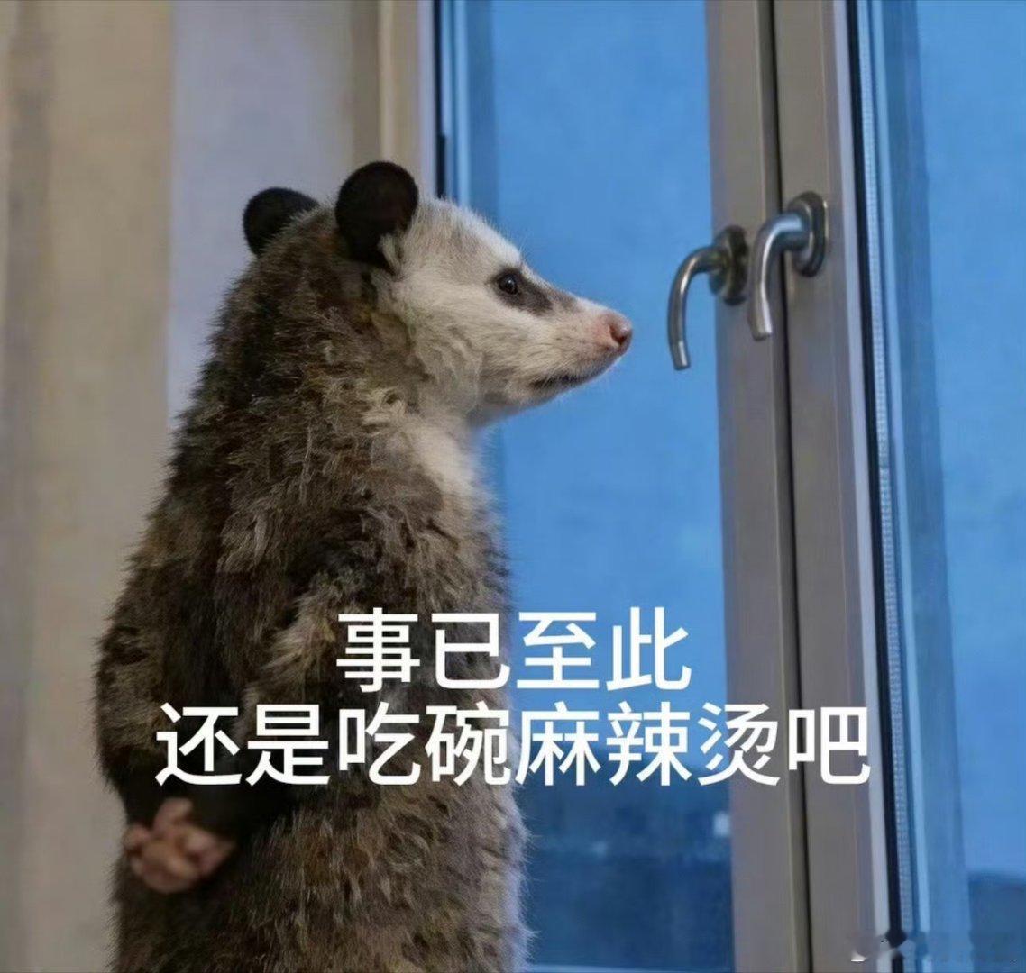 减脂餐的尽头是麻辣烫谁懂啊家人们，以前吃麻辣烫都得偷偷摸摸怕被说，现在直接光明正