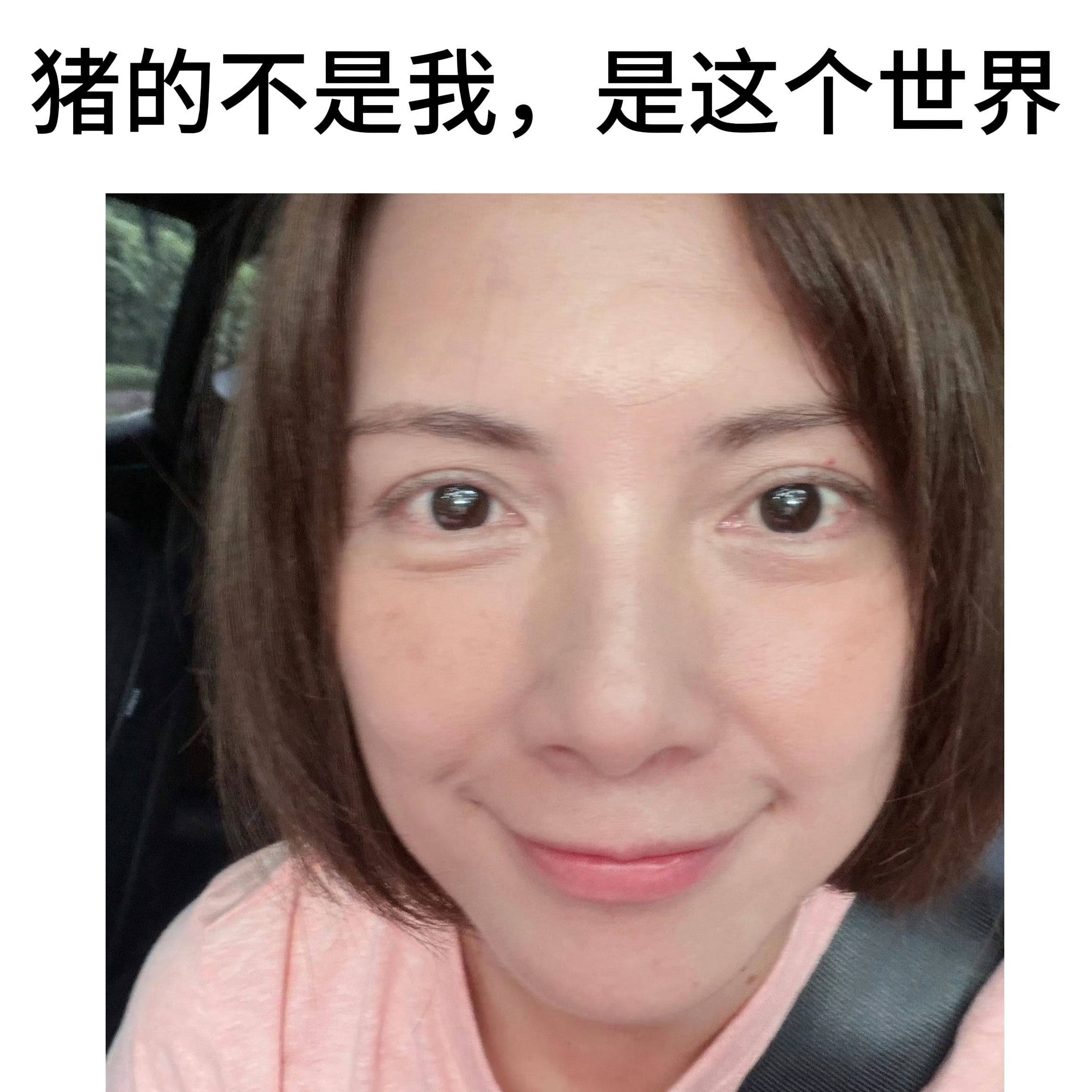知道猪了没？ 