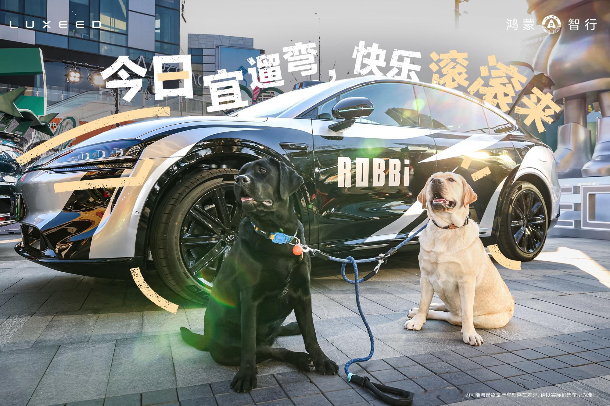 智界车友都很懂生活，年轻帅气啊，跟我一样时代弄潮儿，走到哪靓到哪～ 