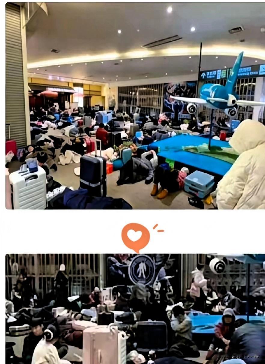 近日1800名游客被困北海道机场，闹着要“包机”回国。可调查下来让人脊背发凉：他