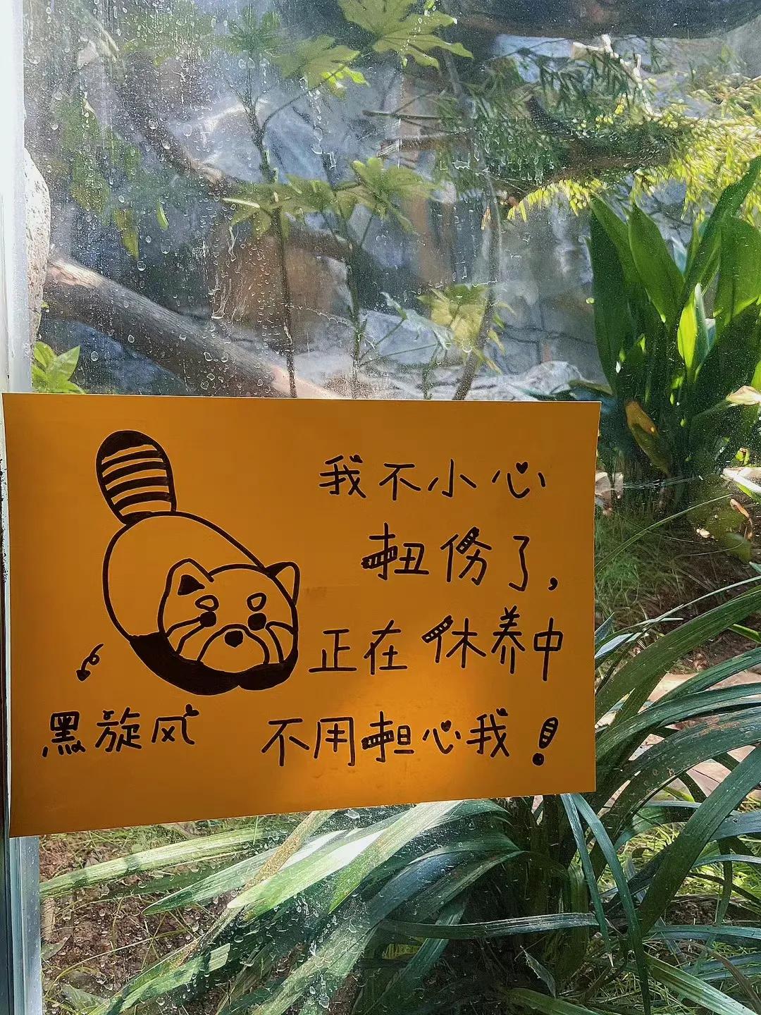 在 红 山 动 物 园 感 受 到 了 爱
你喜欢逛动物园吗？