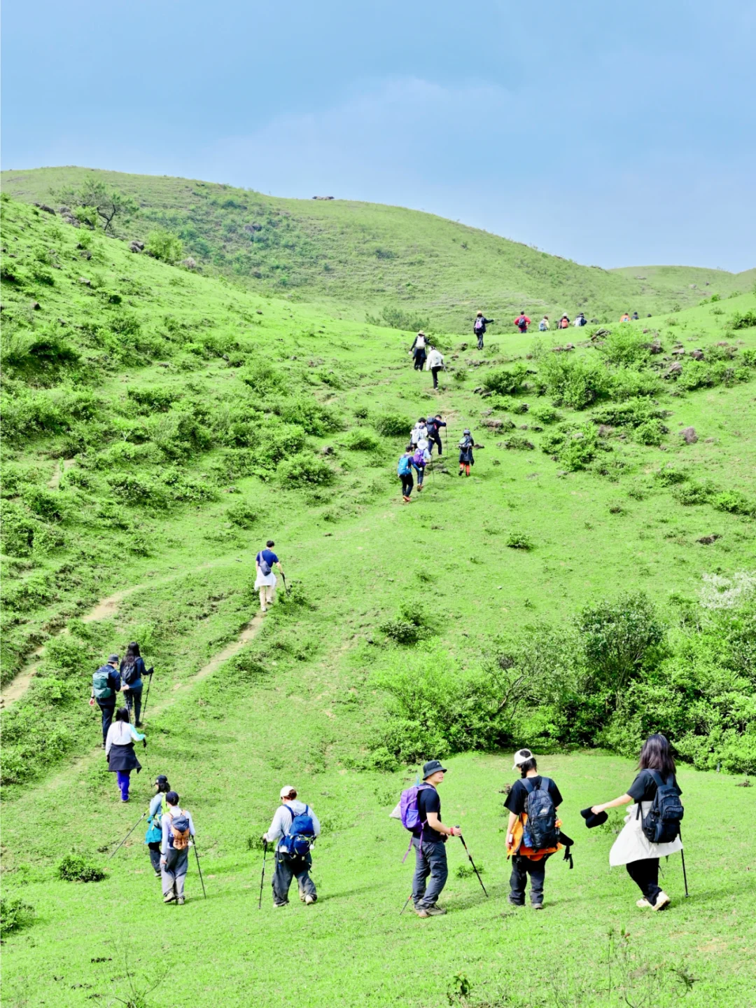 不挤武功山，1%广东人才知道的平替高山草甸