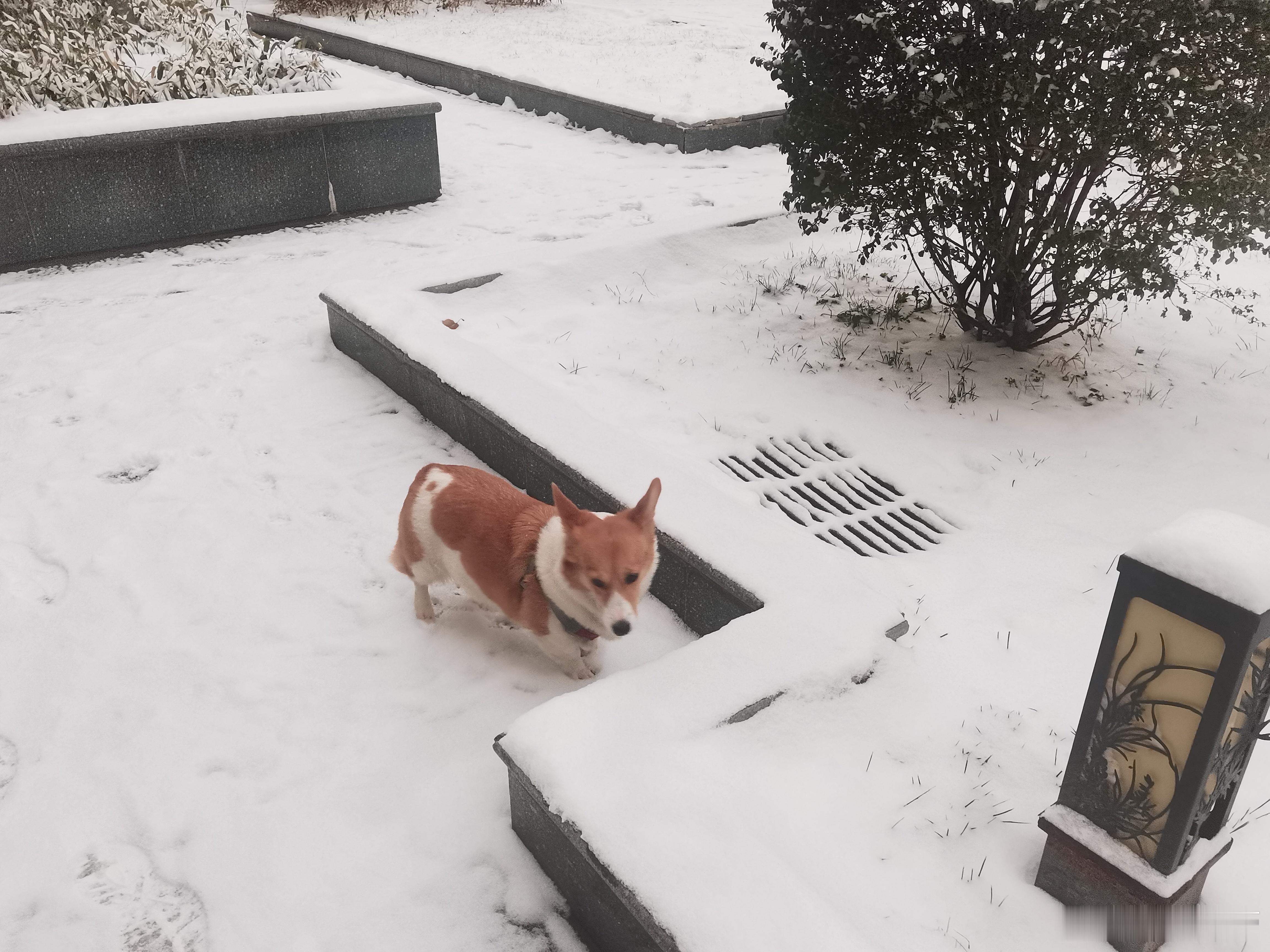 多地现今冬以来最冷天气3名游客冰面徒步掉入河中男子因路面结冰多次尝试进家门失败今