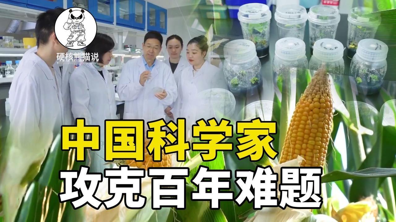 中国科学家攻克世界级难题：这一次，我们用实力打破所有质疑！

你是否也曾在刷到国