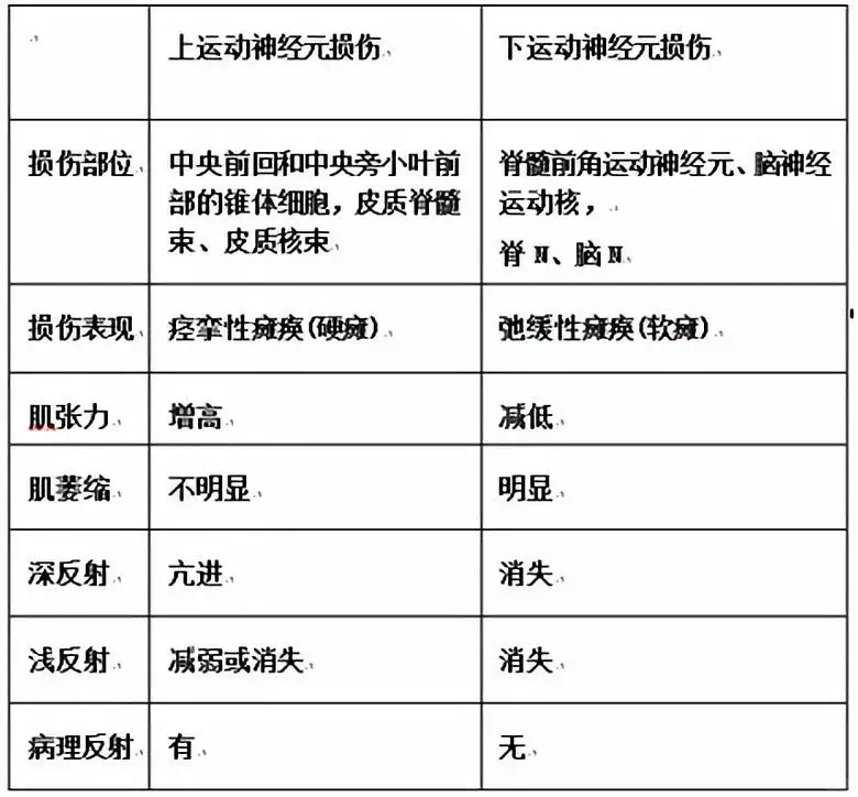 上运动神经元VS下运动神经元区别