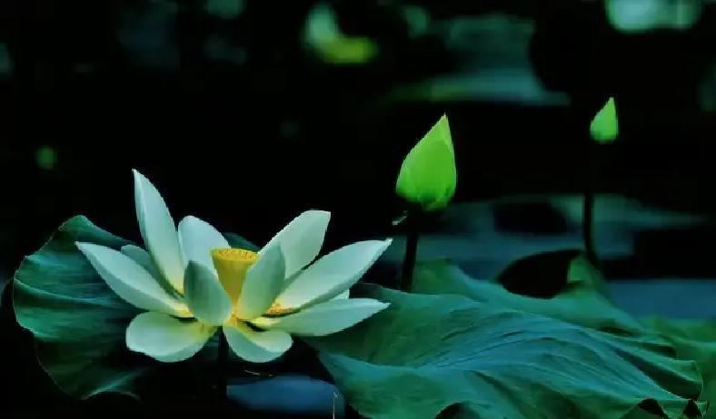 人生总有两条红线，踩上去代价惨重。2025年全国民营医院日均倒闭7家，许多老板因