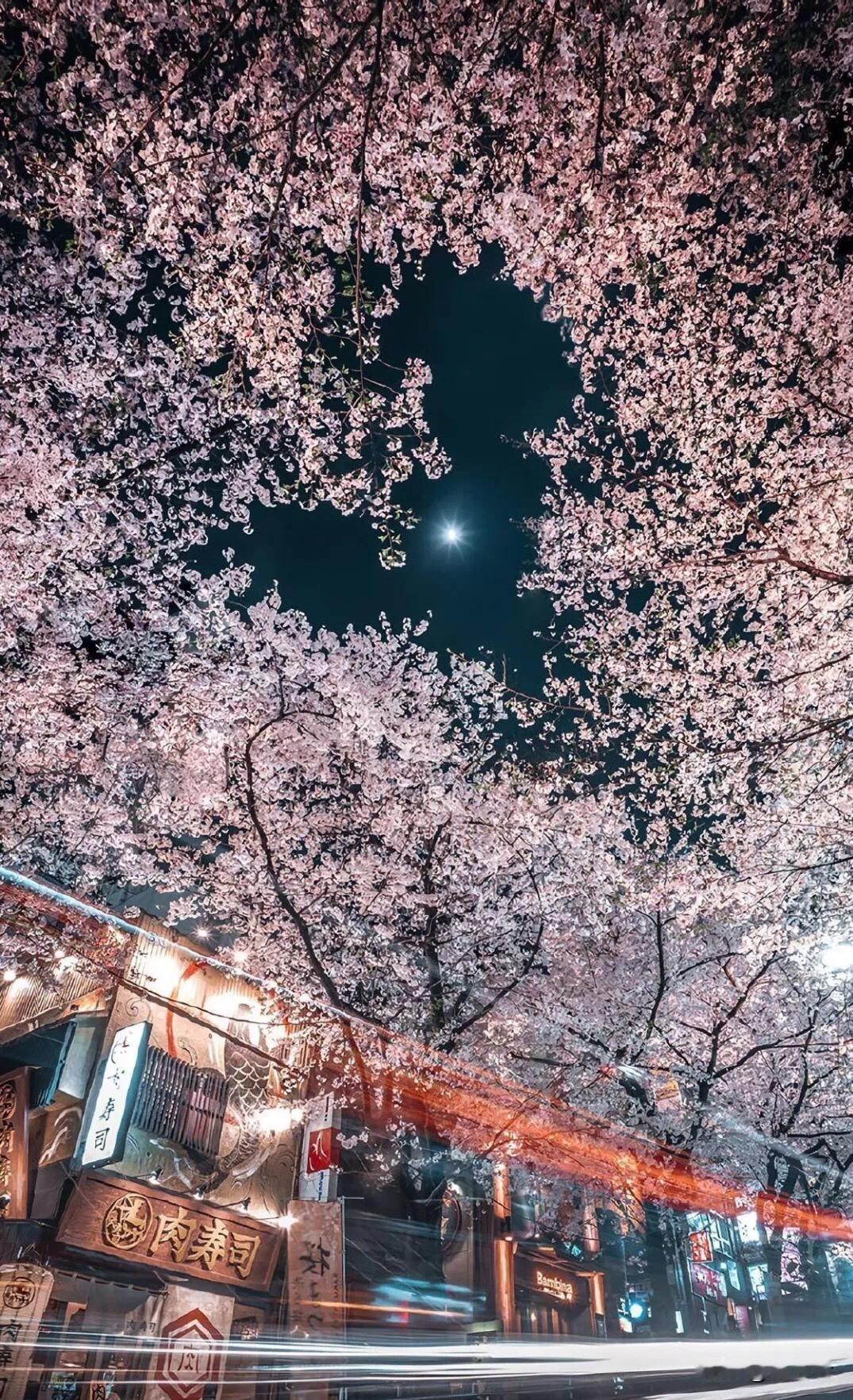 人这辈子，不过是个过客
 
财富如海。
众生作舟。
 
有人拼命划桨。
想抢更大