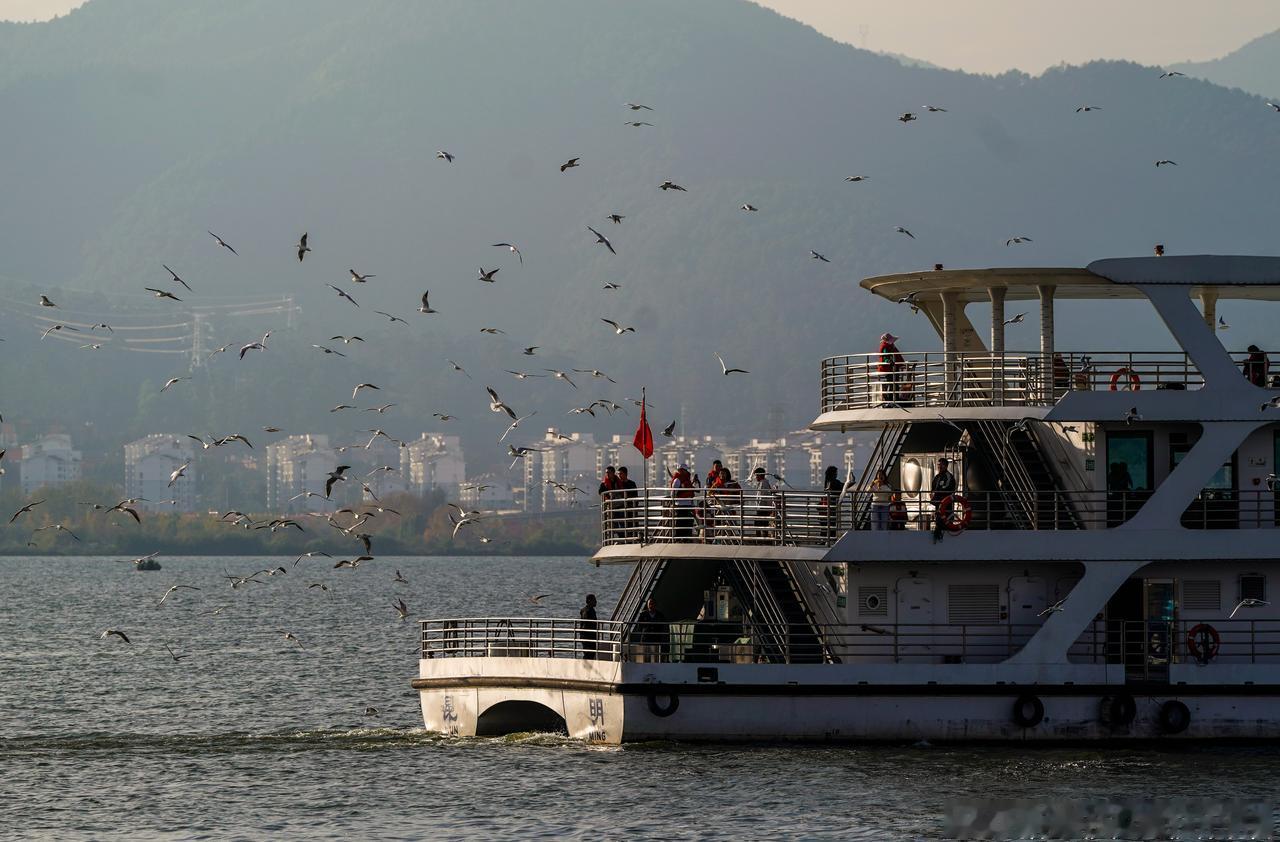 愿你所愿皆如愿，美好常相伴，晚安！