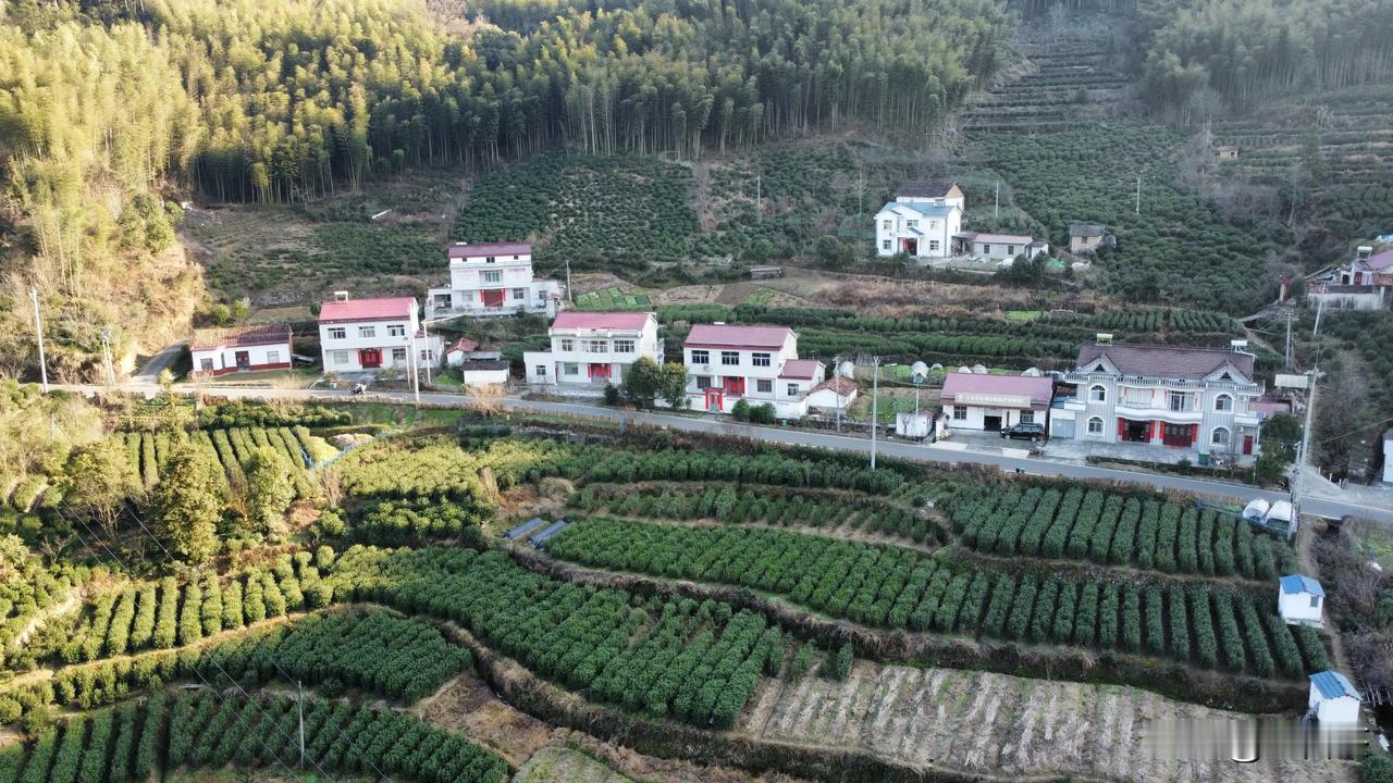 通常而言，这个地方在古时便产茶，且为山区，当地有茶叶种植，然而茶叶的收益却难以维