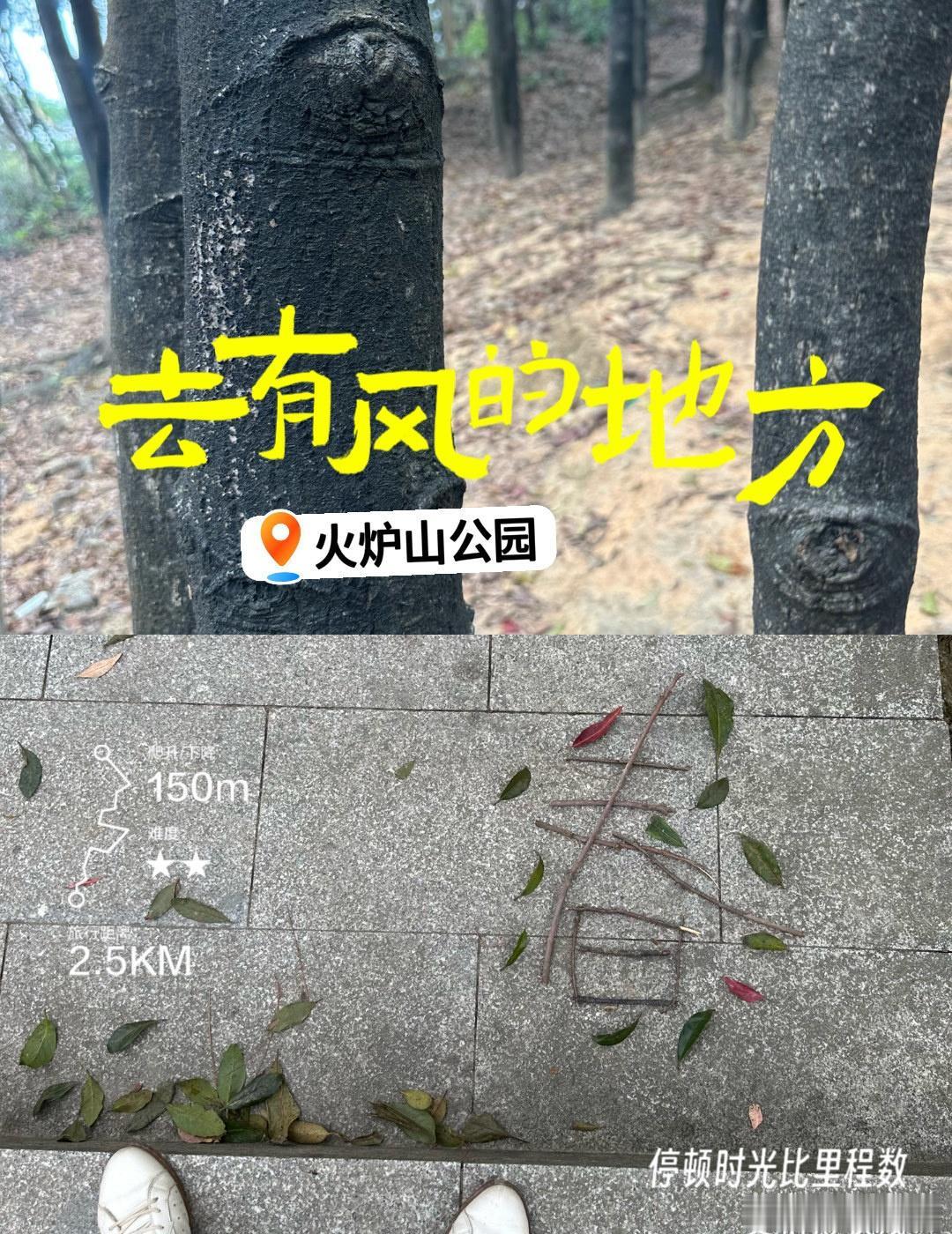 （在广州）到火炉山疯狂吸氧~
📍广州 
无需🎫门票｜🈶️路标指引*
奔着火