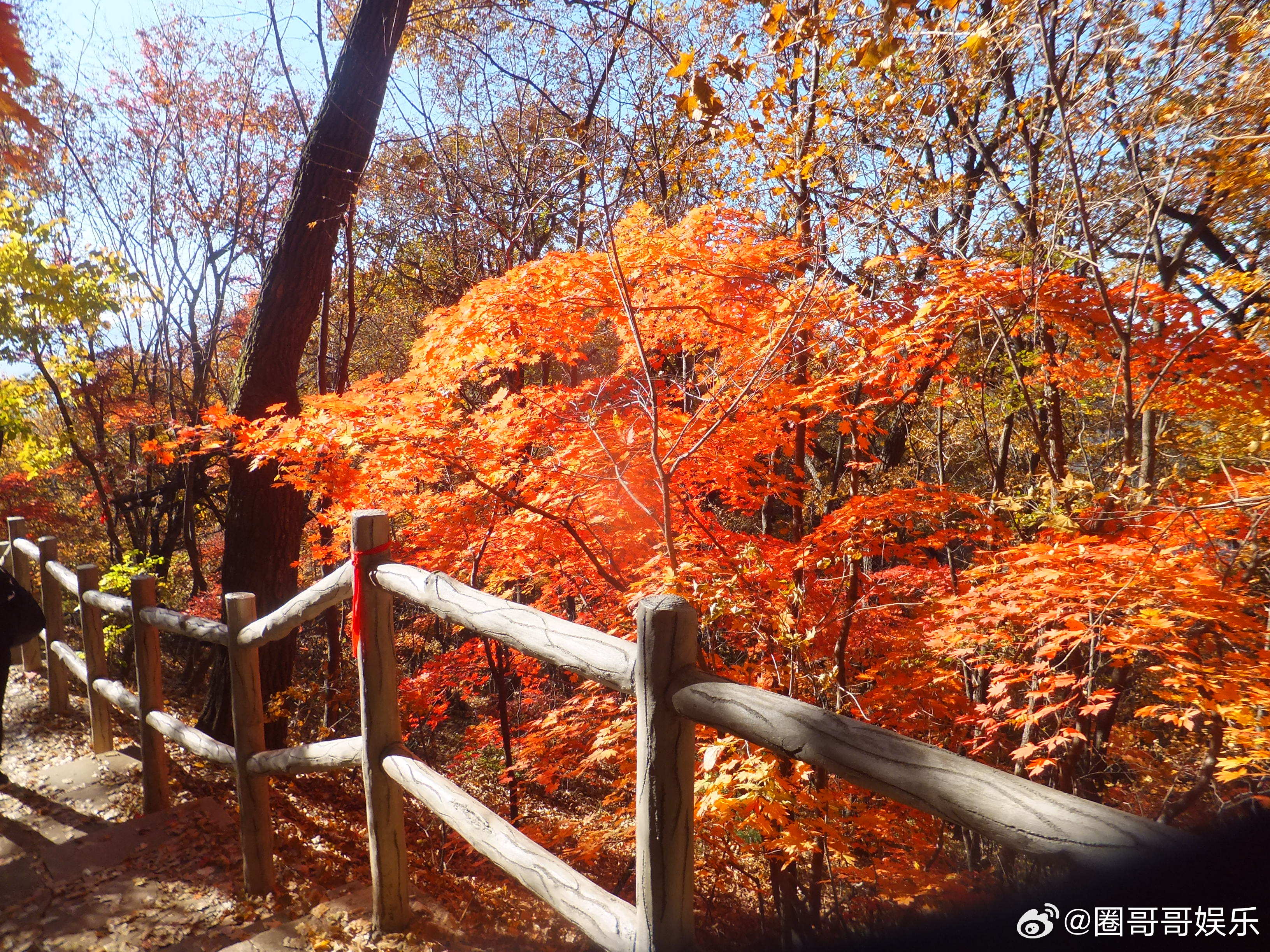 秋高气爽的季节，就是要去户外走走！登山祈福安排上，提前为中秋国庆许下美好心愿～辽
