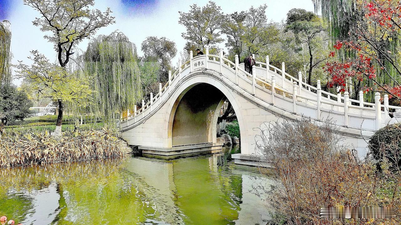 #公园美丽景随拍#今天去了西安兴庆宫公园，自公园经过花巨资改造后，成为西安本地人