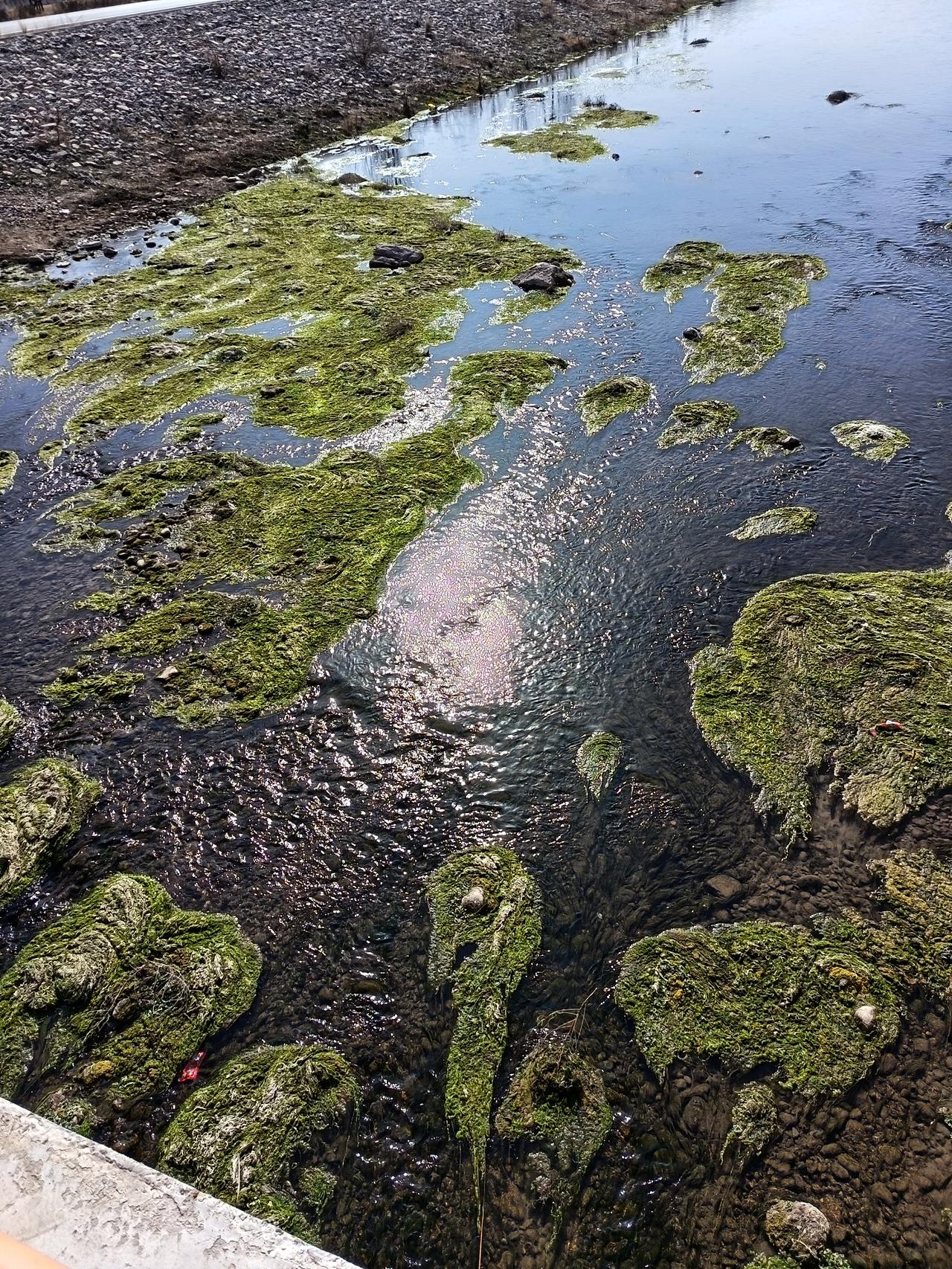 夏日生活打卡季