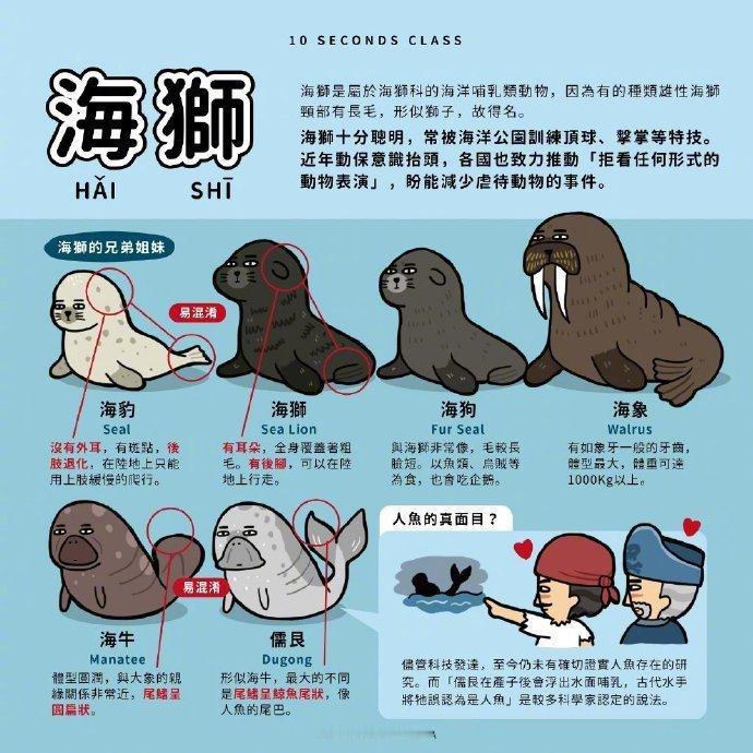 一波简单又生动有趣的科普干货！ 来源： facebook 10 Seconds 