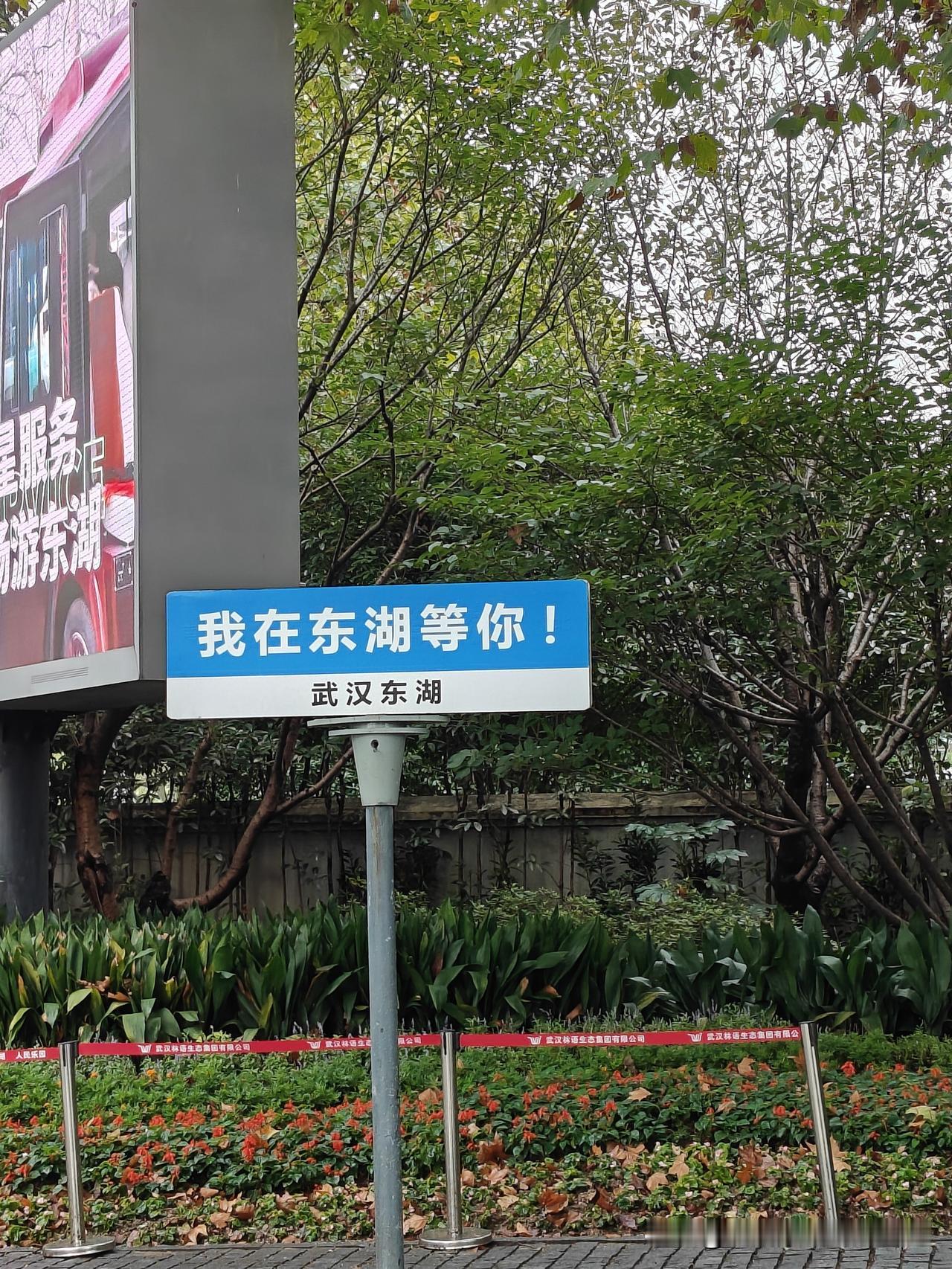 是日也，天朗气清，惠风和畅。
景色优美，人在画中游。
游人如织，或坐车，或骑行，