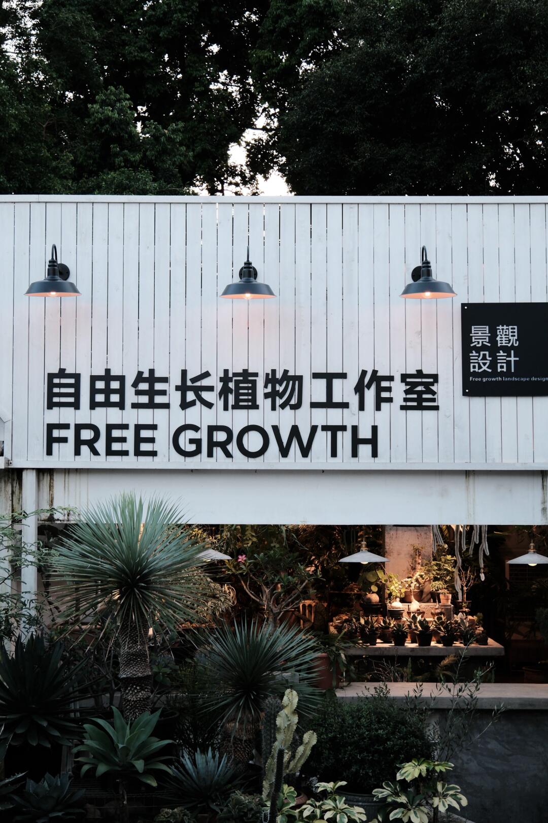 全网搜索｜请赐我一个审美好的摄影师吧！！！