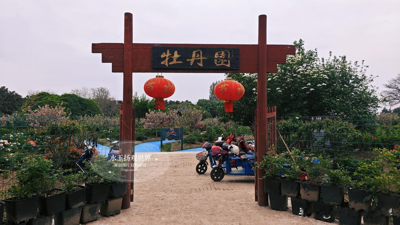 上周六骑着小电驴，从泰州老城区一路向北，穿过成片的农田，就到了麒麟湾景区。说实话