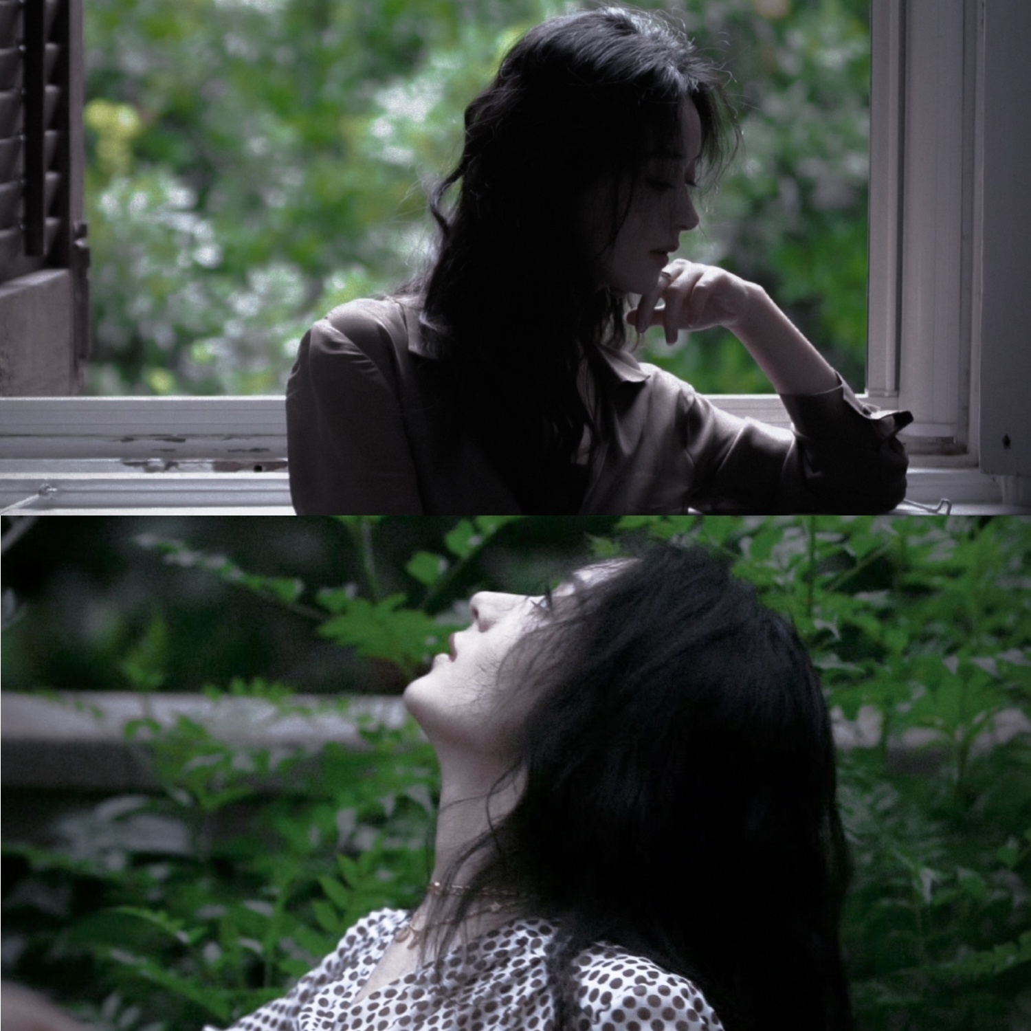 赵丽颖赵丽颖沈璃 zly赵丽颖许半夏 The flower will withe