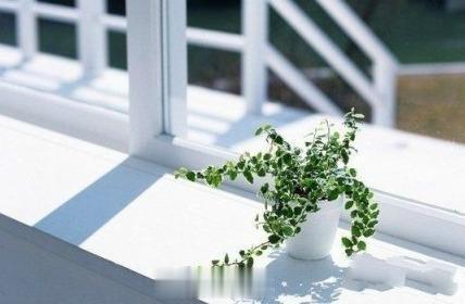 【怎样摆花草才健康】应根据住宅各个角落的不同特点，选择不同花草：1.客厅养常春藤