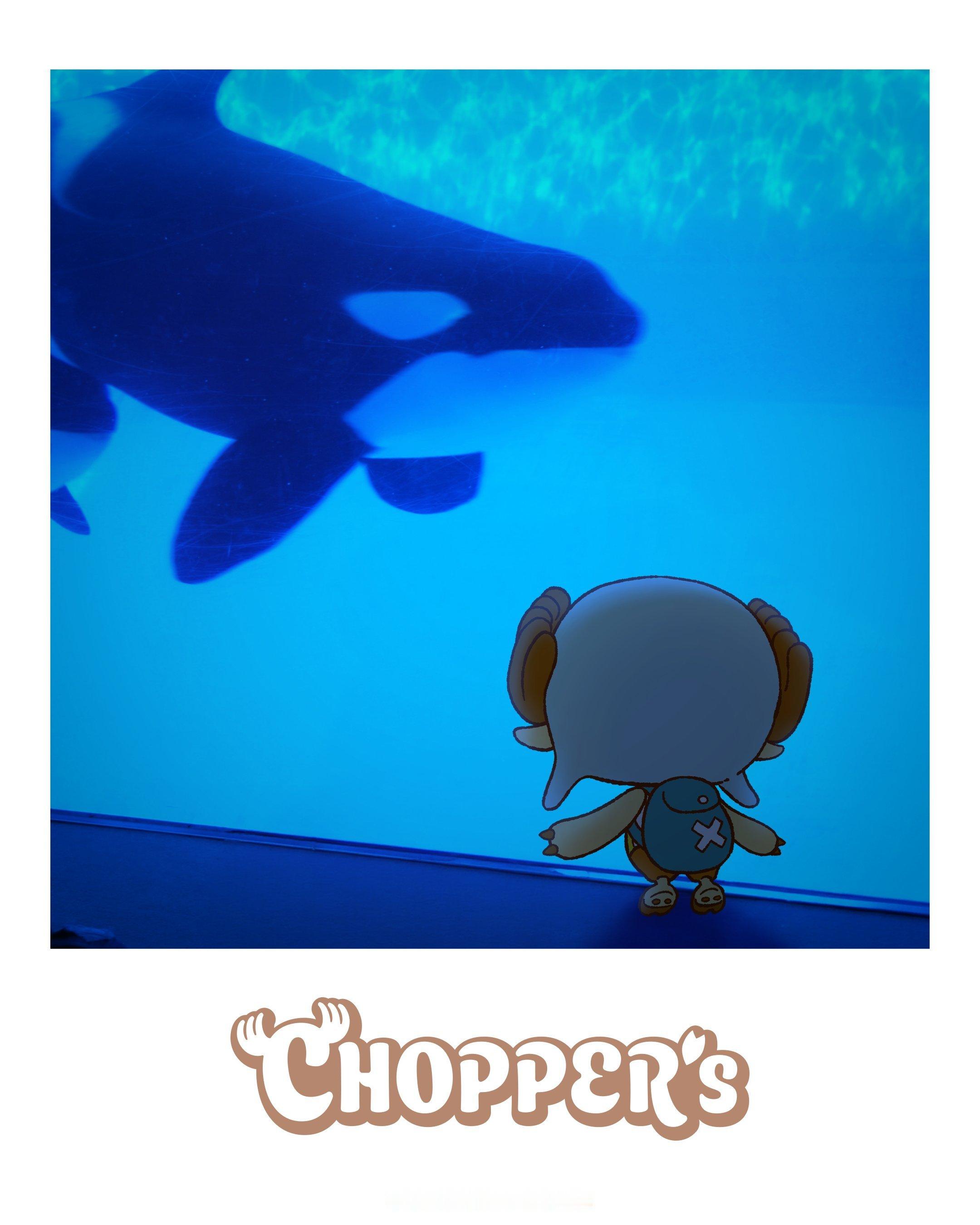 海贼王官方乔巴全新企划“CHOPPER's”，发一些乔巴在现实世界的图和视频。今