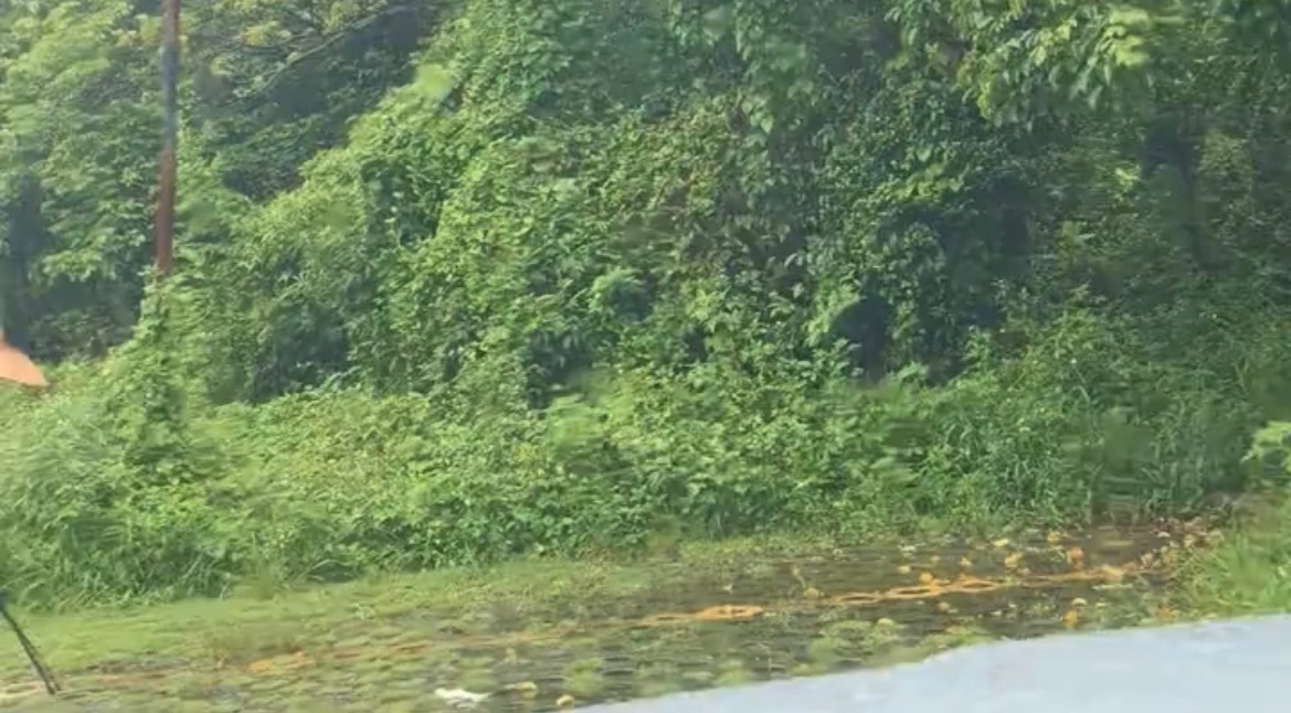 近日，网友反映：玉林某大门口停车场上有人乱丢纸巾，现场看见有人在清理了！ 