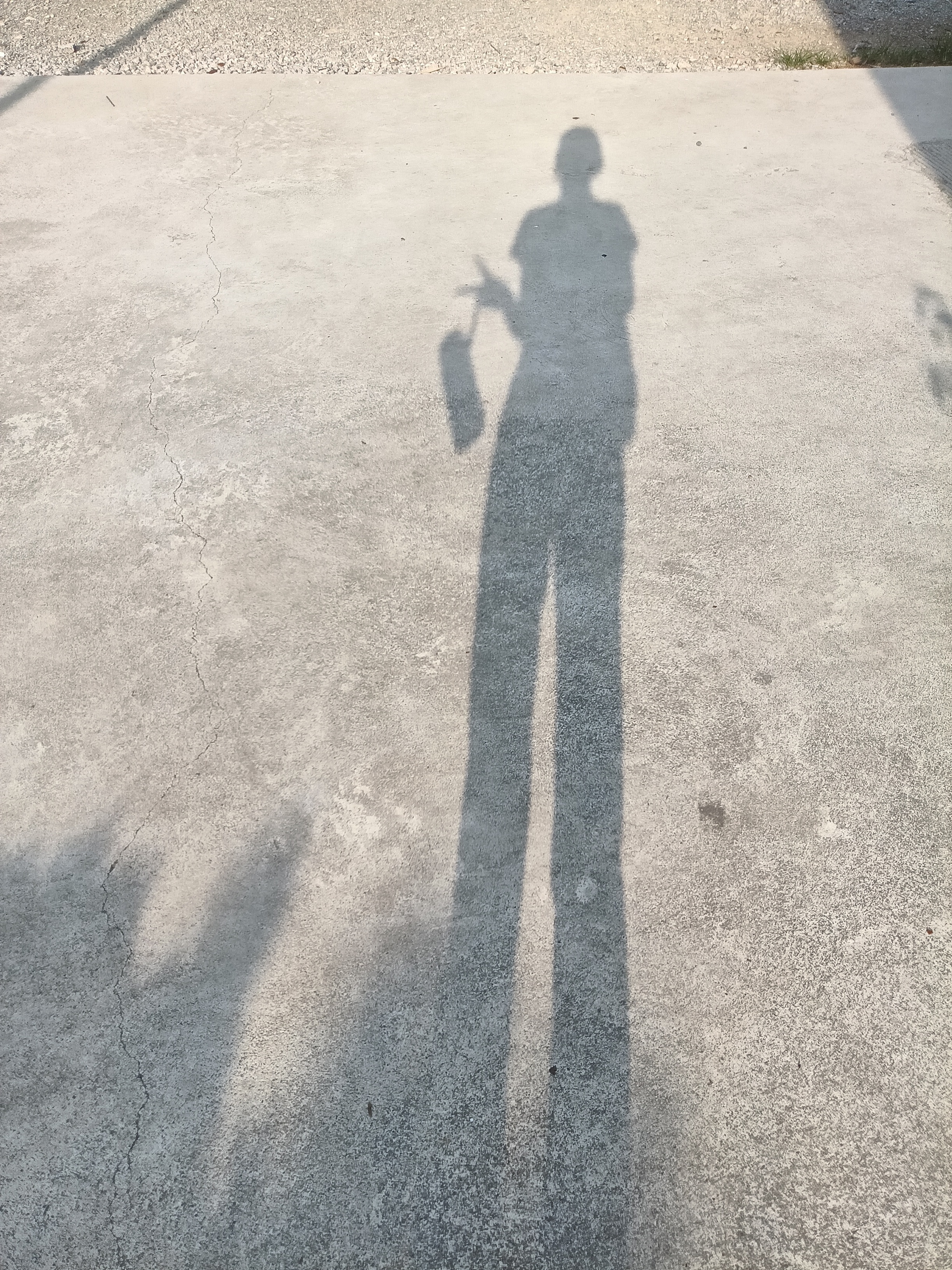下课嘻奶远的日常分享