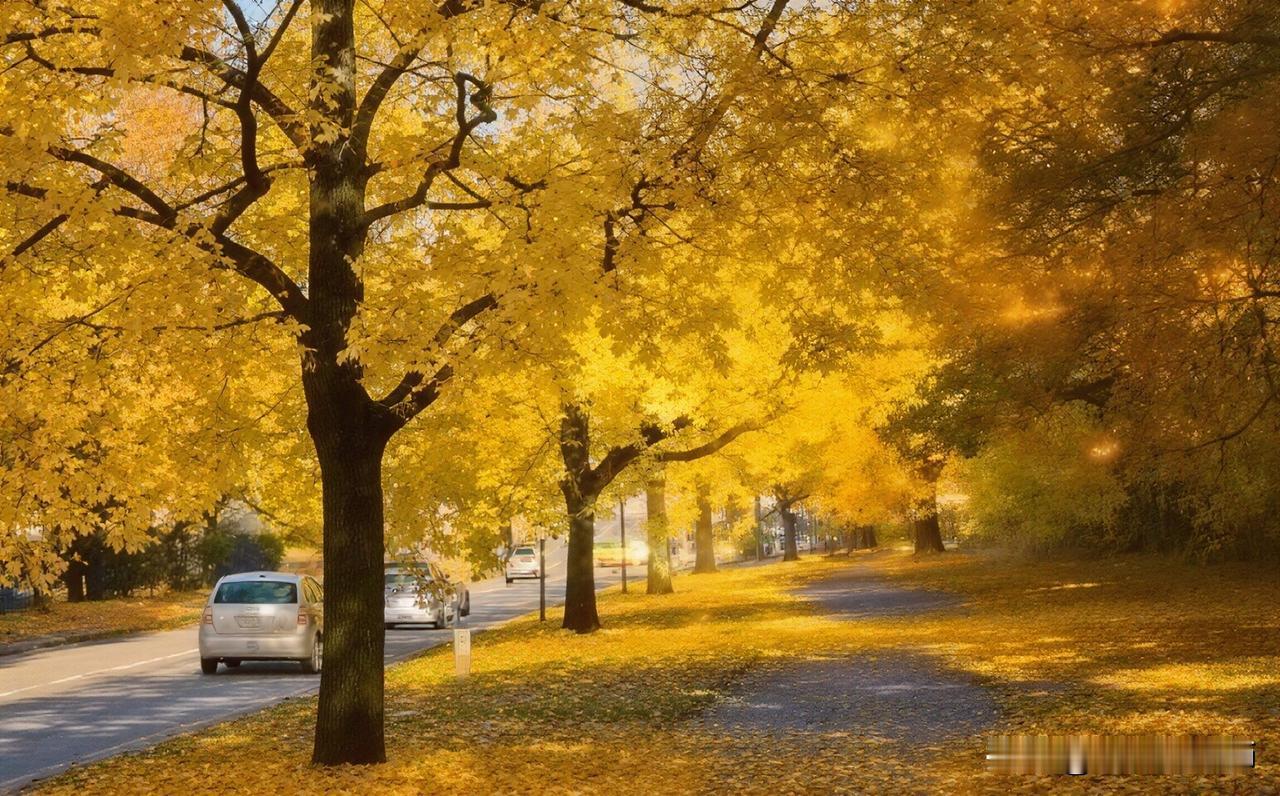 晒图笔记大赛秋