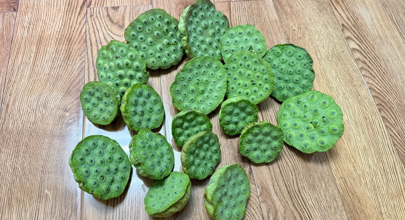 开剥…手疼都怪单依纯 