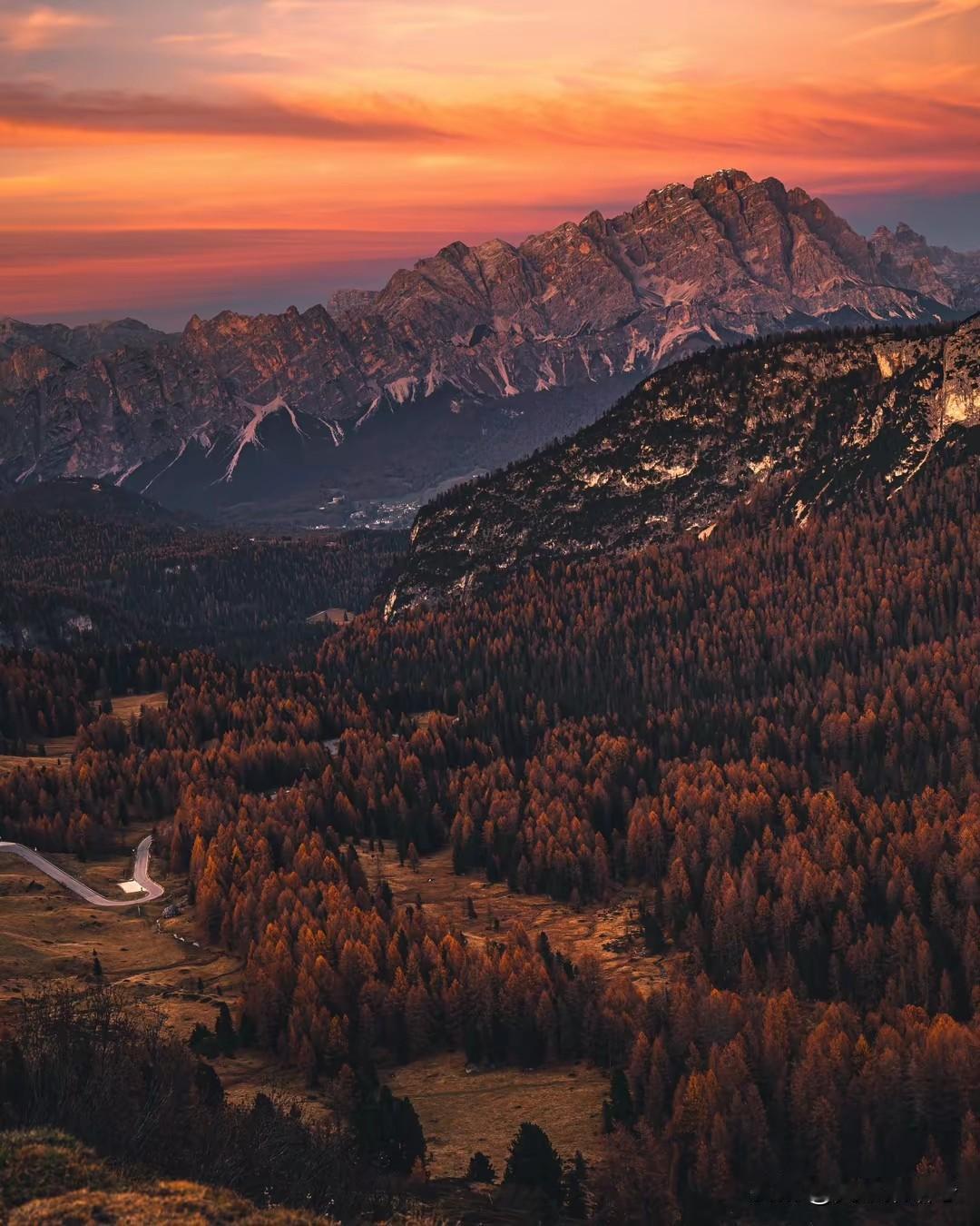可以分享一张秋景的树叶的照片吗？秋天收获的季节，跟母亲一样！