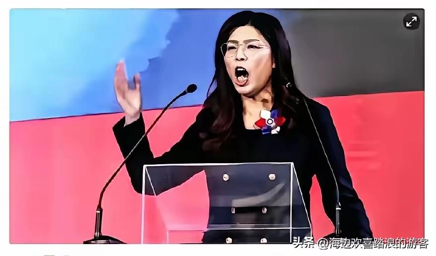 台湾岛再爆强音！国民党“掌门”郑丽文近日接受《纽约时报》等外媒连线，一句“东方大