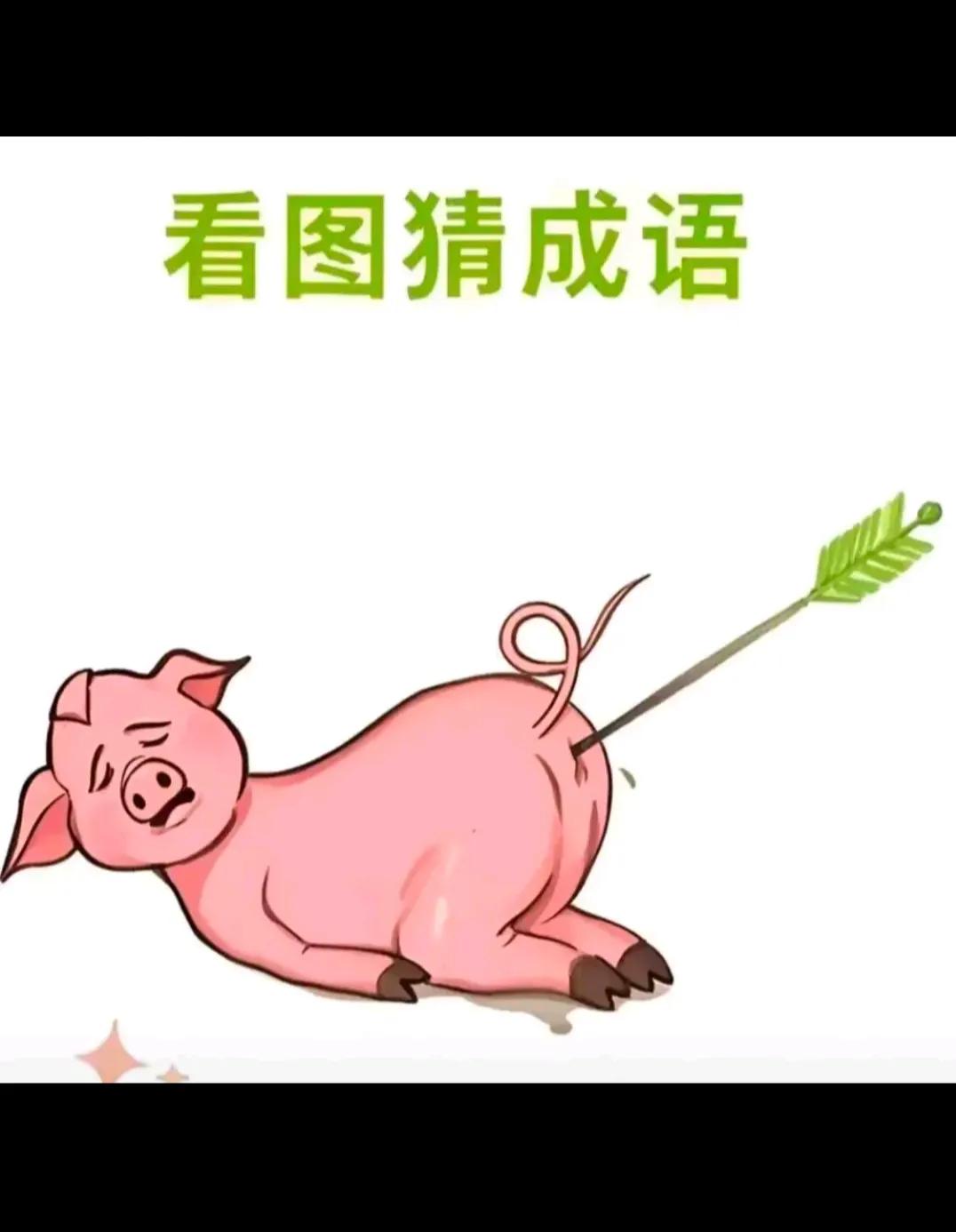看图猜成语！！！！