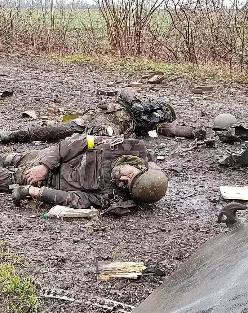 顿涅茨克郊外的焦土上，俄军士兵捡起半块染血的战术背心——哥伦比亚国旗徽章被弹片撕