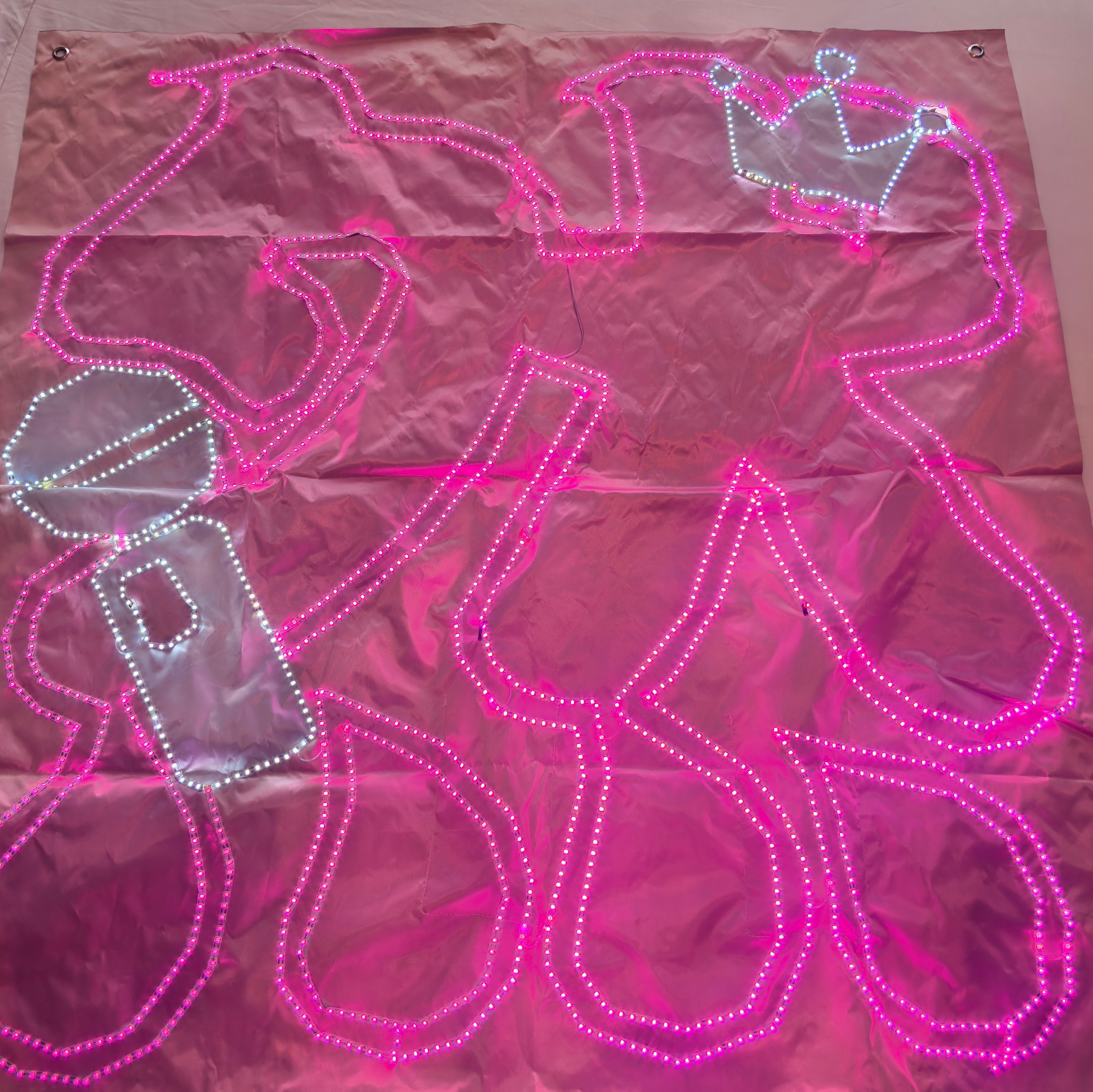 期待粉色海洋燃起来