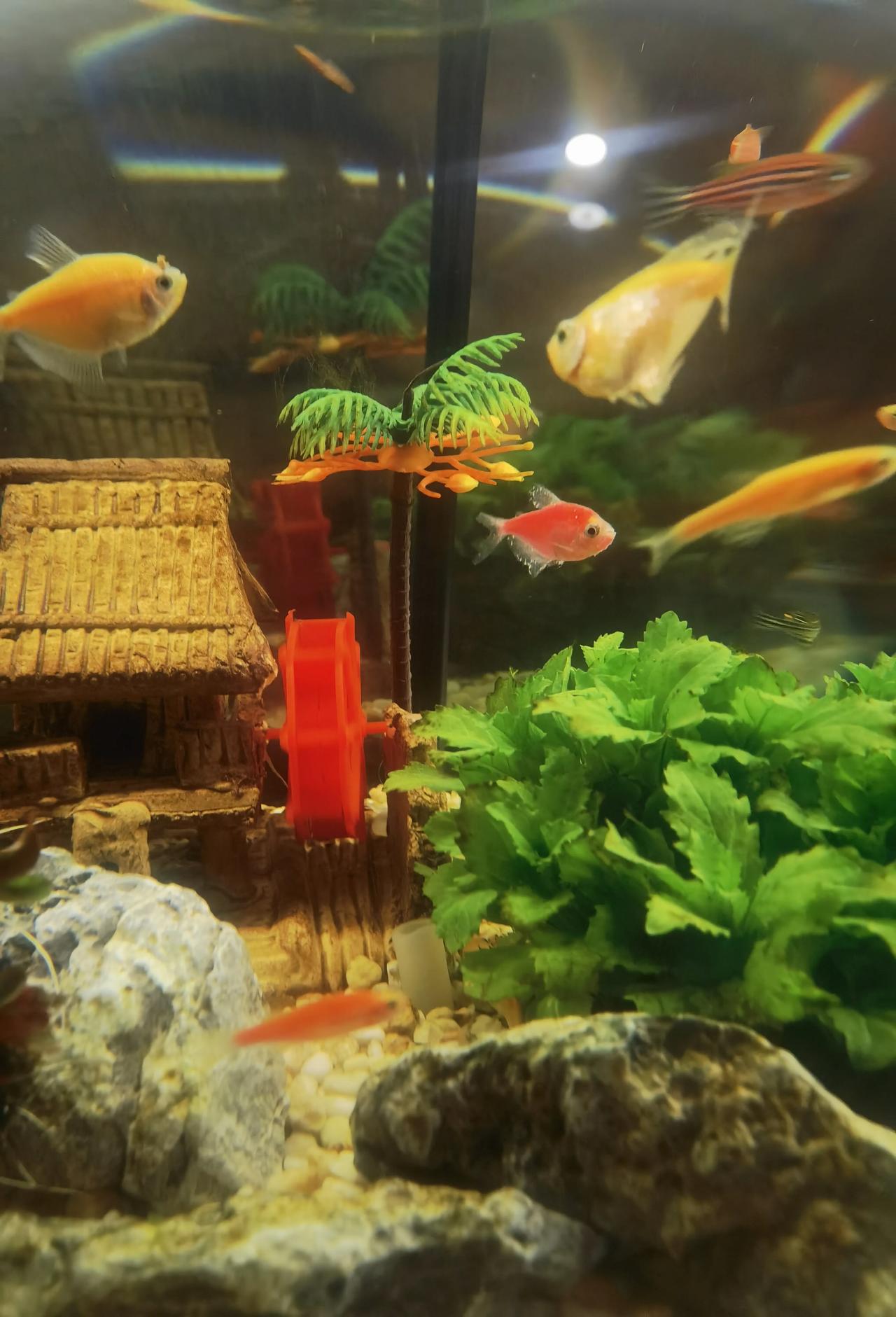 东莞房价回到1字头的有15个。包括沙田、石龙、清溪、横沥、樟木头、东坑、中堂、常