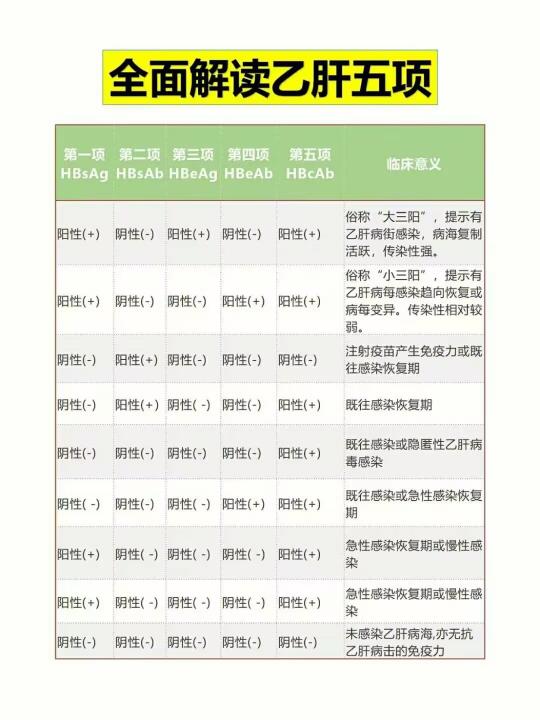 乙肝解读