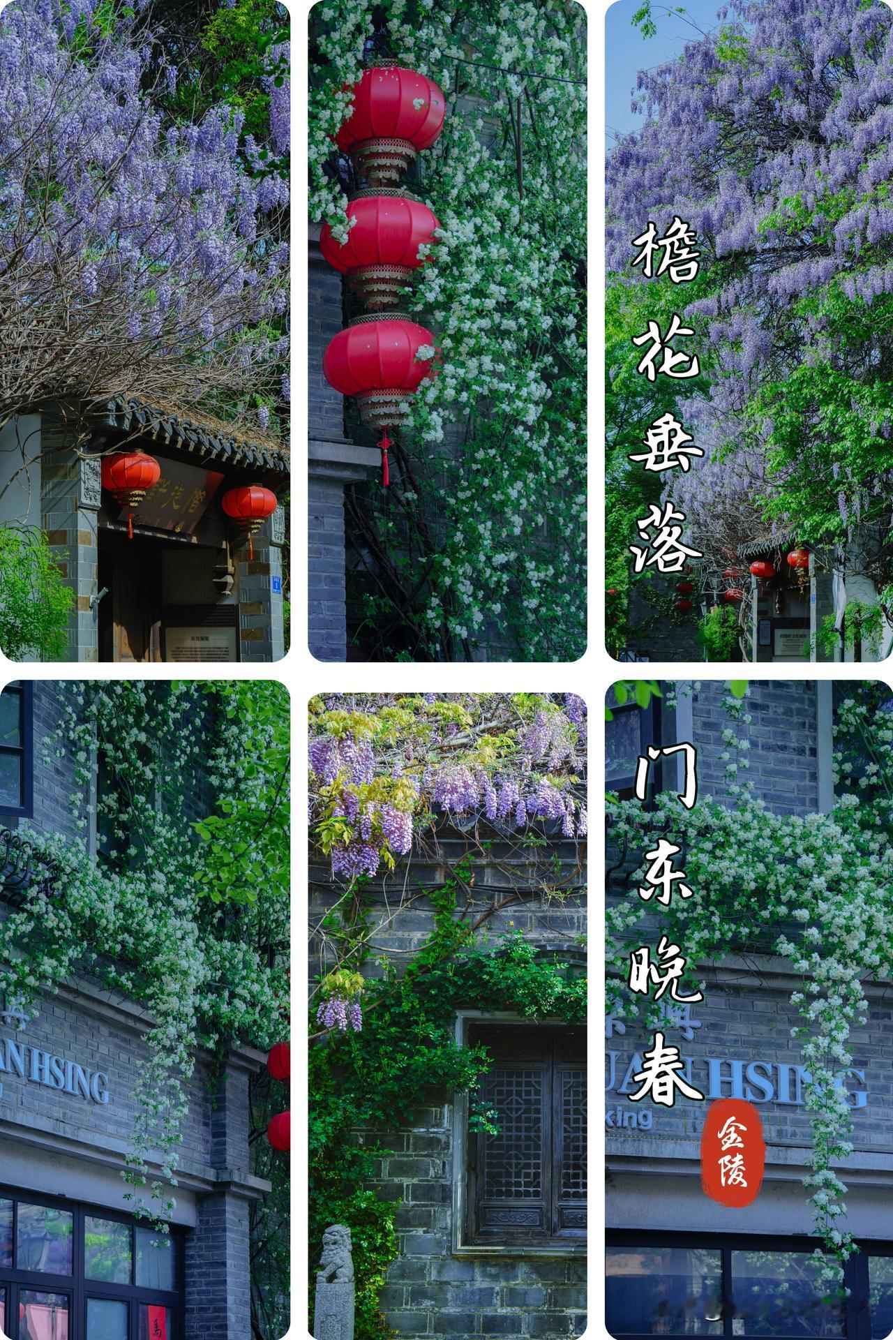 檐花垂落  门东晚春

暮春时节走进老门东，紫藤已近尾声，淡紫的花串轻垂在青砖黛