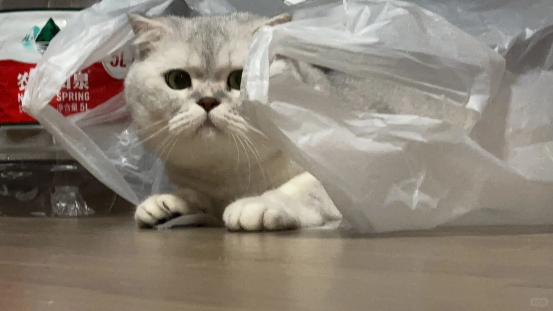 妈妈～我今晚睡这里