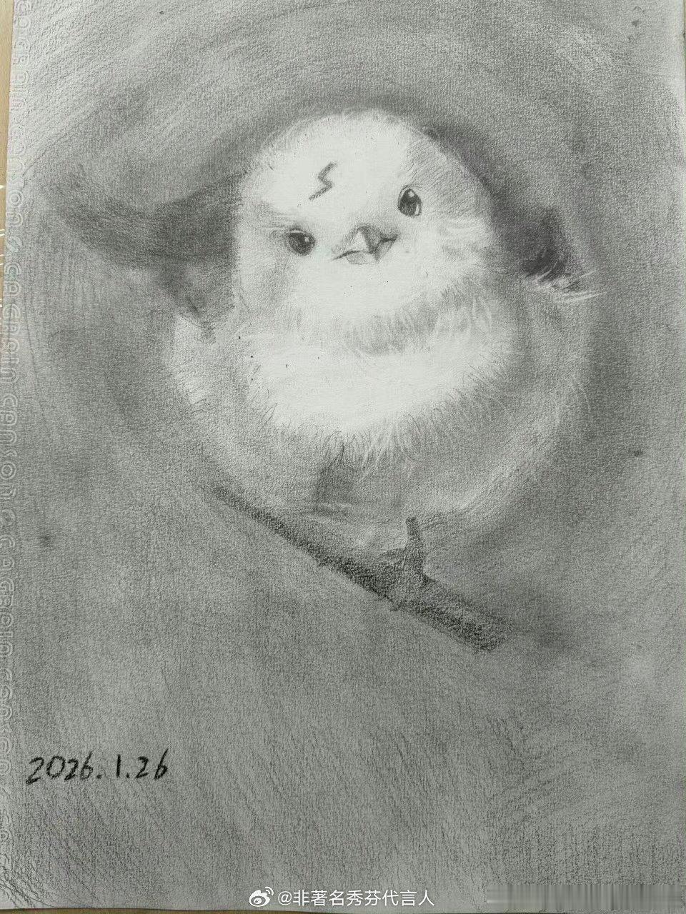 贺峻霖画技第一天上课，完全天赋型选手。 